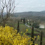 Wiosna w Toskanii – PRIMAVERA in TOSCANA