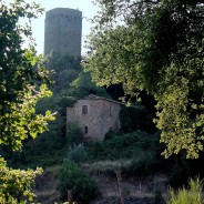 Widoki z głuszy – Galatrona